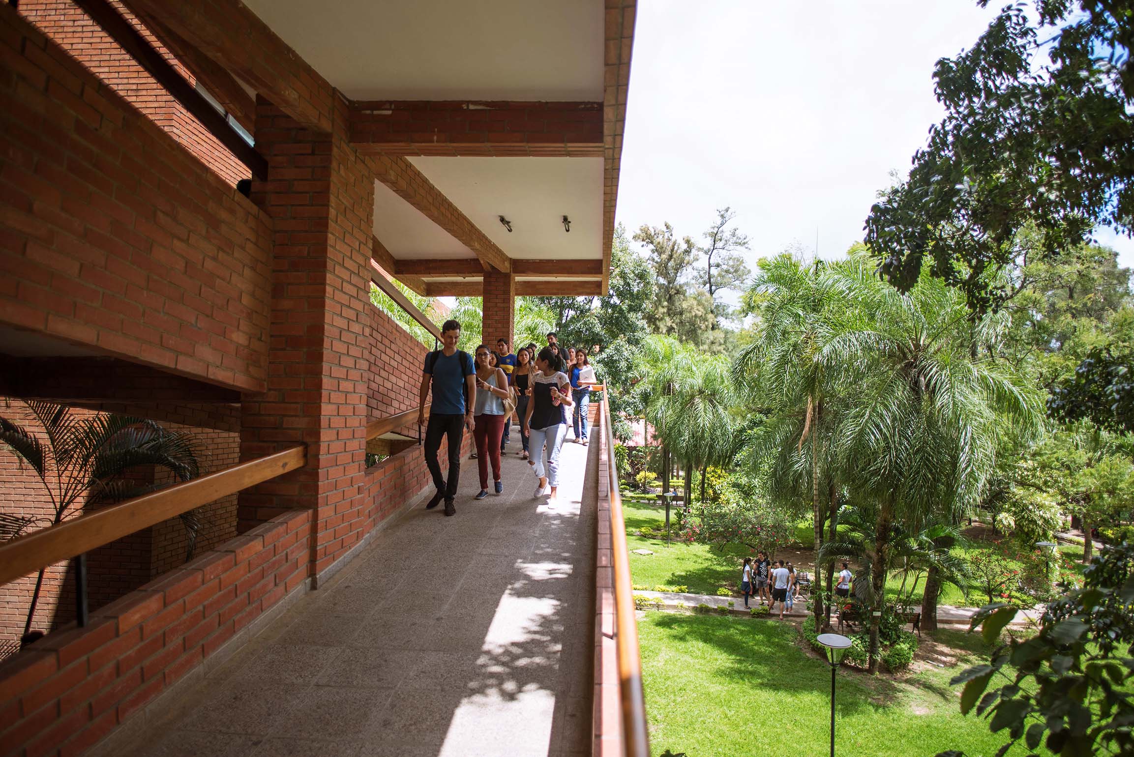 Preservación de flora en el Campus